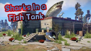 SHARKS IN A FISH TANK | Rust Movie