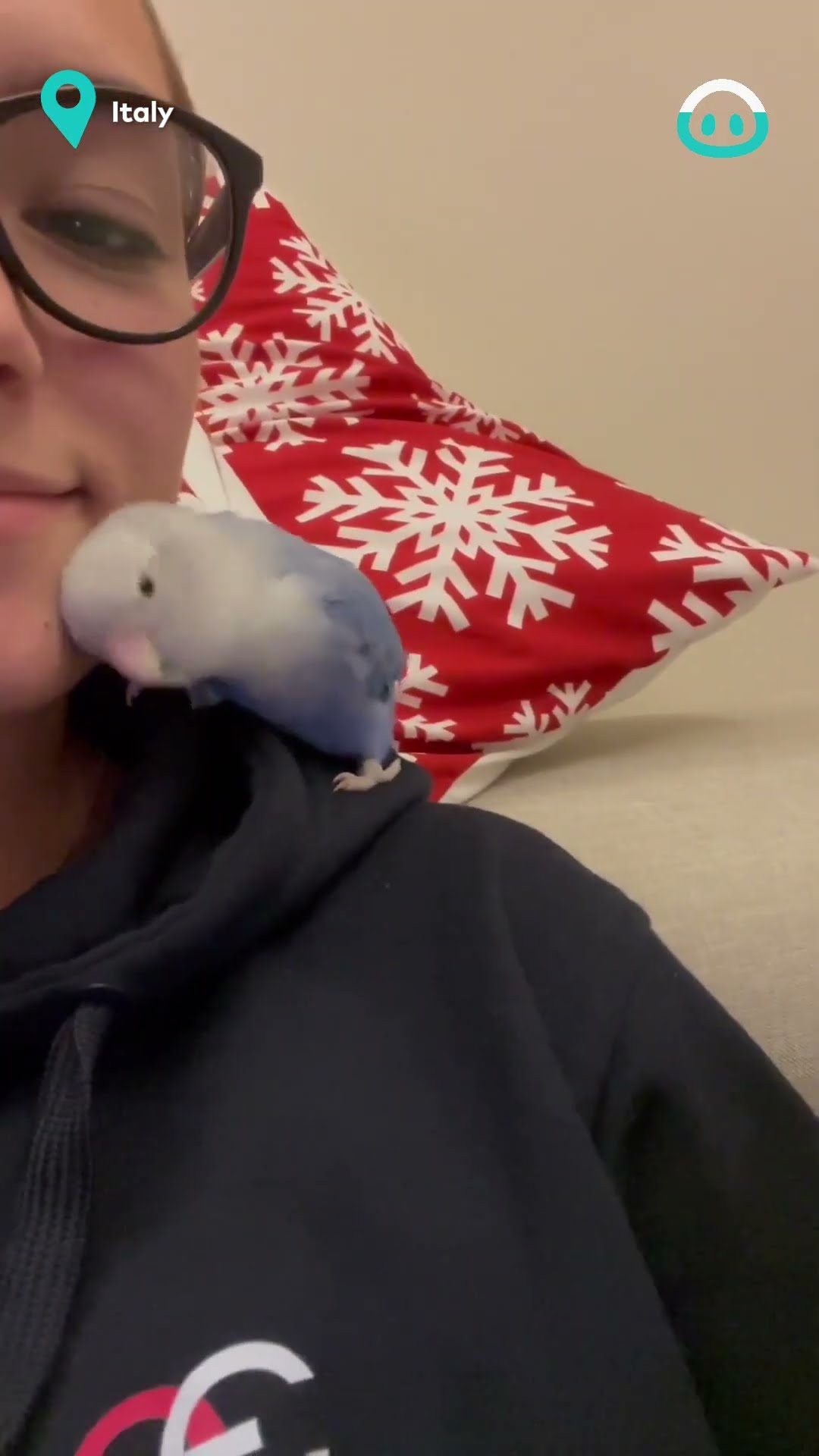 Parakeet Cuddles In Exchange For Kisses || ViralHog