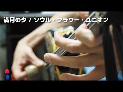 満月の夕 /  ソウル・フラワー・ユニオン(cover) by YUTO