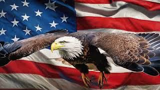 Firefly Bald Eagle flapping it's wings in front of waving American Flag  801235