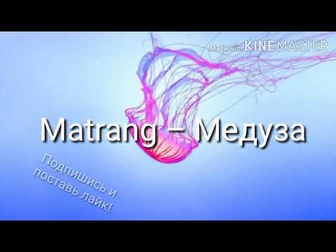 Matrang - Медуза текст песни