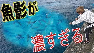 【夢の島】#2 日本一位のカンパチがあがった島で釣り！南大東島編