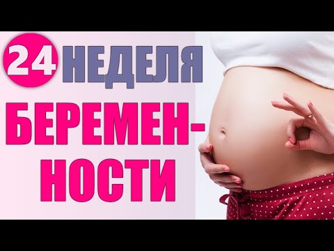 ДВАДЦАТЬ ЧЕТВЕРТАЯ НЕДЕЛЯ БЕРЕМЕННОСТИ | Основные советы для будущих мам