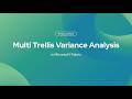 Multi Trellis Variance Analysis in Microsoft Fabric