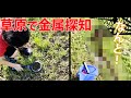 今度は草原で金属探知！、大物！？でました～。