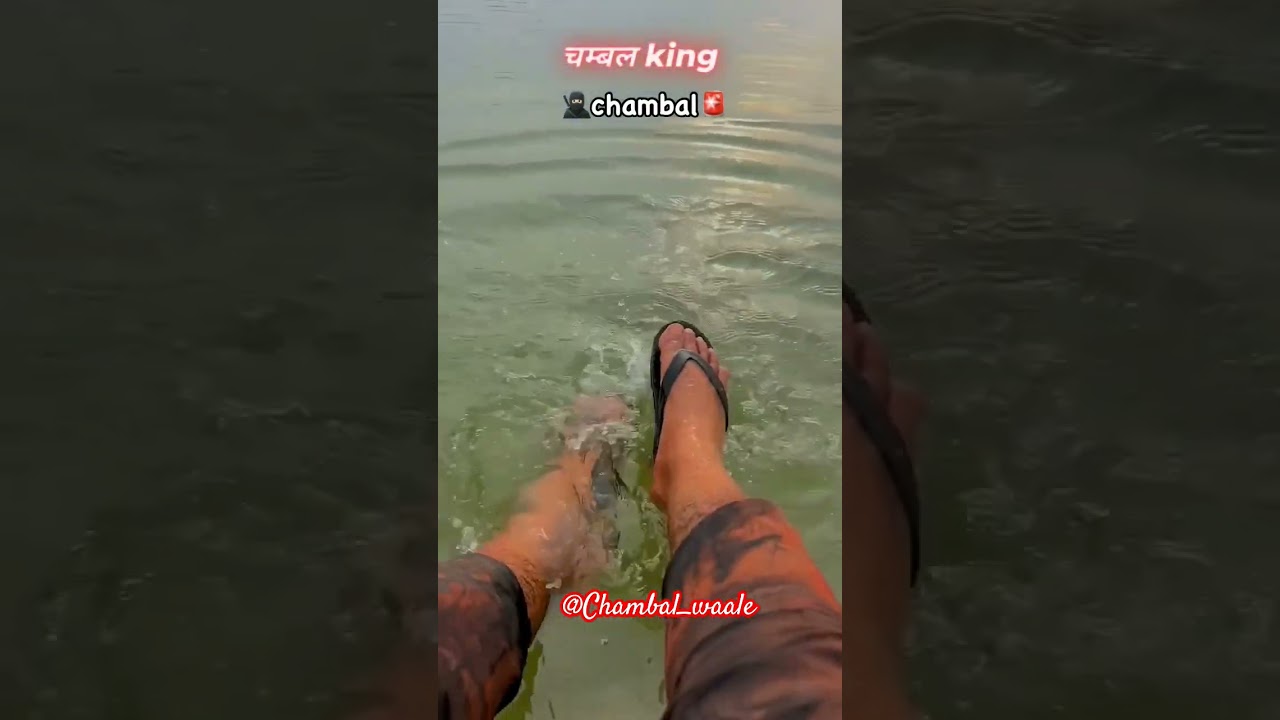 Chambal waale h