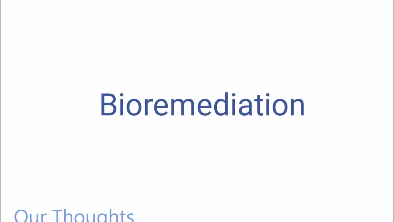 Biology Notes  : Bioremediation