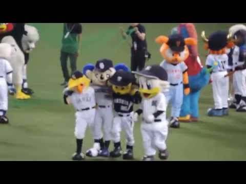 2014/7/18　オールスター　マスコット障害物競争　足がつかないドアラ