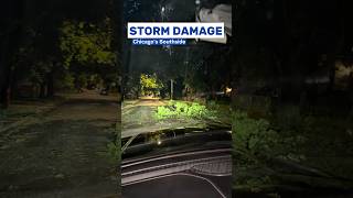 Severe Storm Damage in Chicago Southside | Fallen Trees, Power Outages & Broken Wires