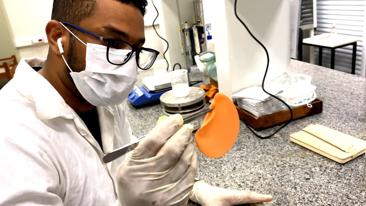 Ciência SP | Bioplástico sustentável para embalagens inteligentes