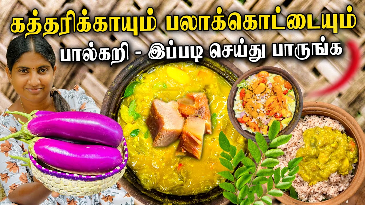 யாழ்ப்பாணத்து கத்தரிக்காய் பால்கறி / kaththarikkai Recipe in tamil Jaffna style Cooking  in Tamil