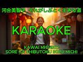 河合美智子 &ndash; それがしぶとく生きる道【カラオケ】|Kawai Michiko &ndash; Sore ga Shibutoku Ikiru Michi (Karaoke)