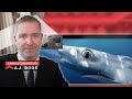 Wir schauen Mission Blue Folge 2. Mission Erde mit wichtiger Forschungsmission