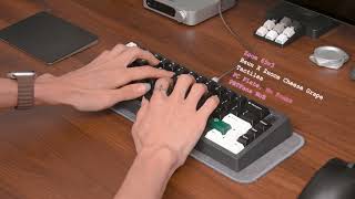 BSUN x Zuoce Studio Cheese Grape Switches | The Light Tactile King You Never Heard Of