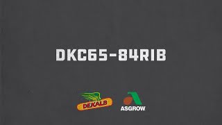 DKC65-84RIB