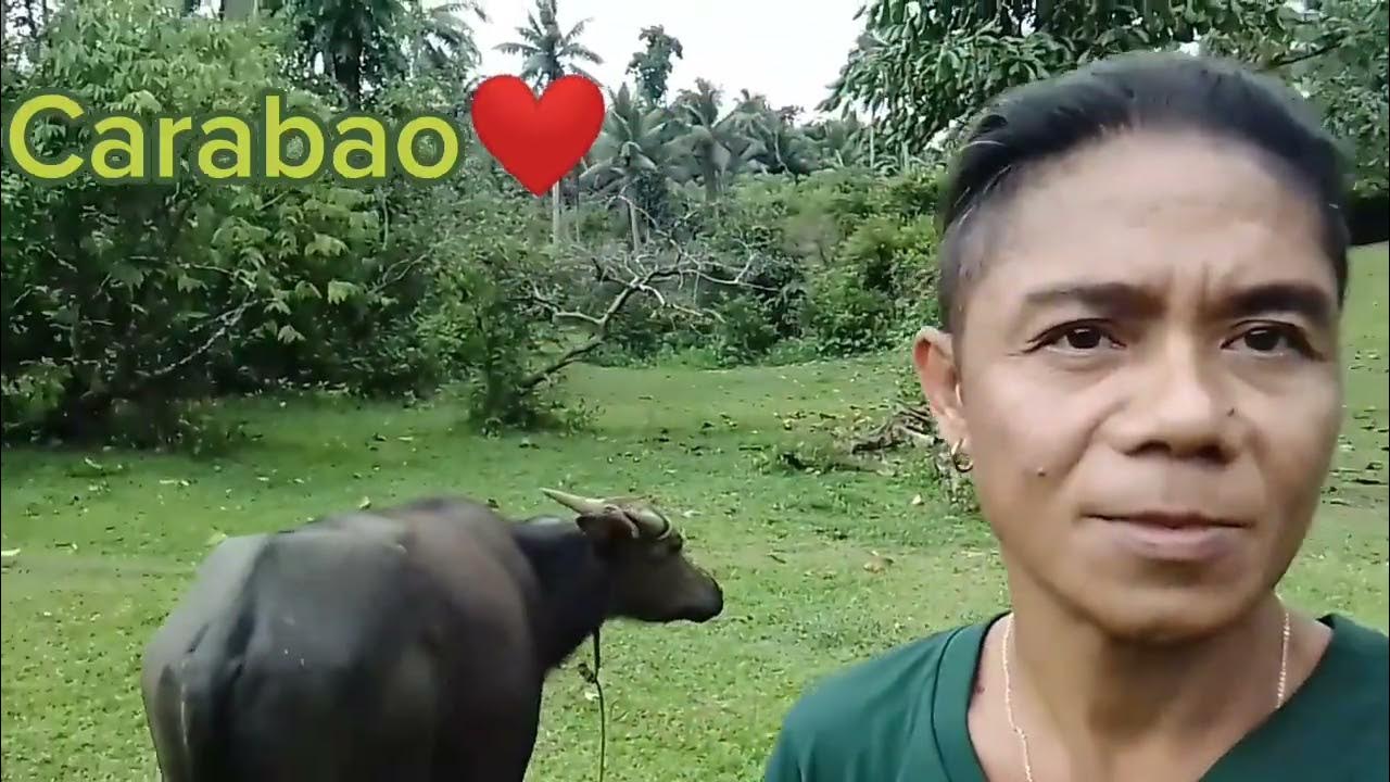 Probinsyano ako! YouTube