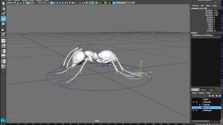 ANT RIG