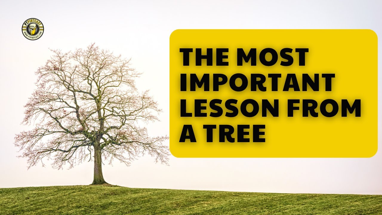 Life Lesson From a Tree