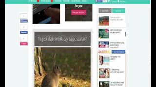 samequizy #3 screenshot 4