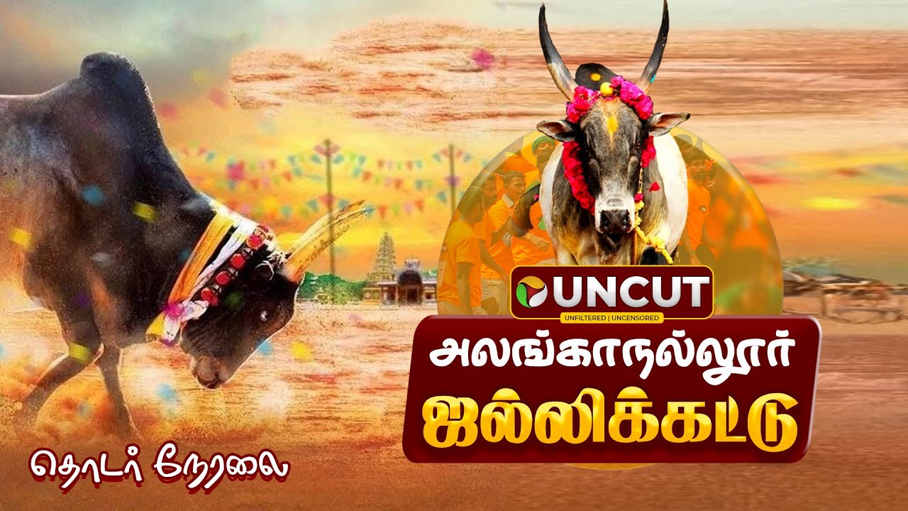 🔴LIVE | Alanganallur Jallikattu 2026 | அலங்காநல்லூர் ஜல்லிக்கட்டு - தொடர் நேரலை | Madurai Jallikattu