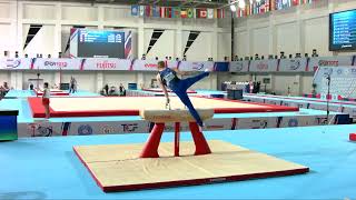 TUKIAINEN Alex (FIN) - 2023 Artistic Junior Worlds - Qualifications Pommel Horse