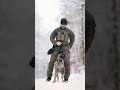 🐕‍🦺🔥 Extreme protection dog training! 💥🐾#Shorts#GuardDog #dogtraining  #protectiondog   #shortsvideo