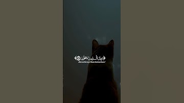 قرآن كريم| قَالَ قَدْ أُجِيبَتْ دَعْوَتُكُمَا | بصوت جميل وهادئ للقارئ عبدالرحمن مسعد
