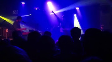 Loop the loop - Wild Beasts