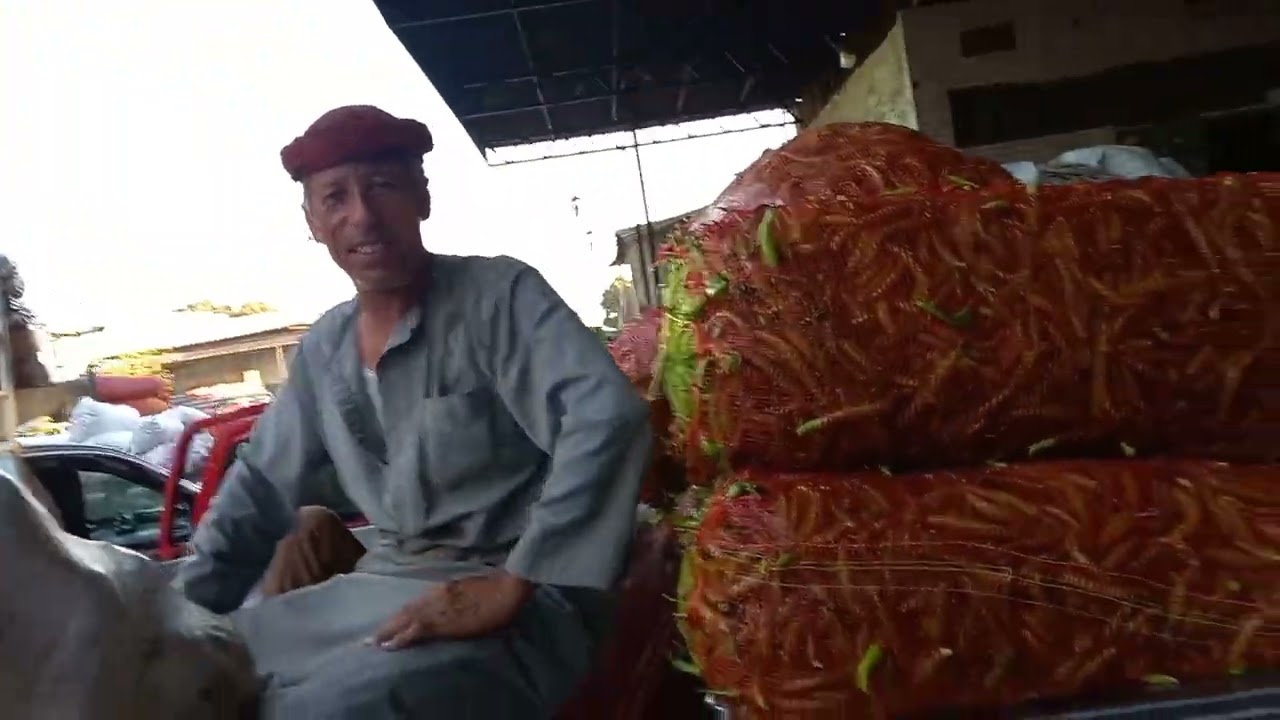 #العبور تقلبات فى اسعار الخضار شاهد الفرق سوق الجمله اليوم