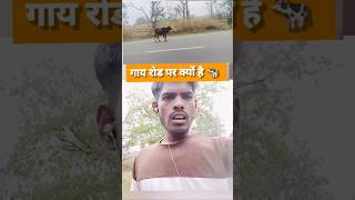गाय रोड पर क्यों है #गाय #gaumatarashtramata #shankaracharya #motivation #shortvideo