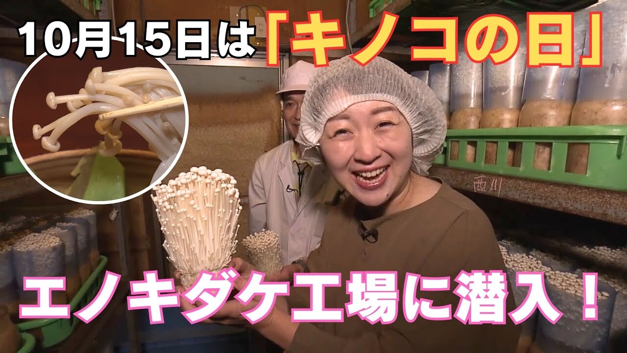 10月15日は『キノコの日』！エノキダケ工場に潜入！！」2024/10/15放送