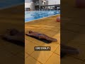 Water Speed Increasing Exercises Viralvideo Swimming Sports Water Speed Increasing Exercises Viralvideo Swimming Sports
