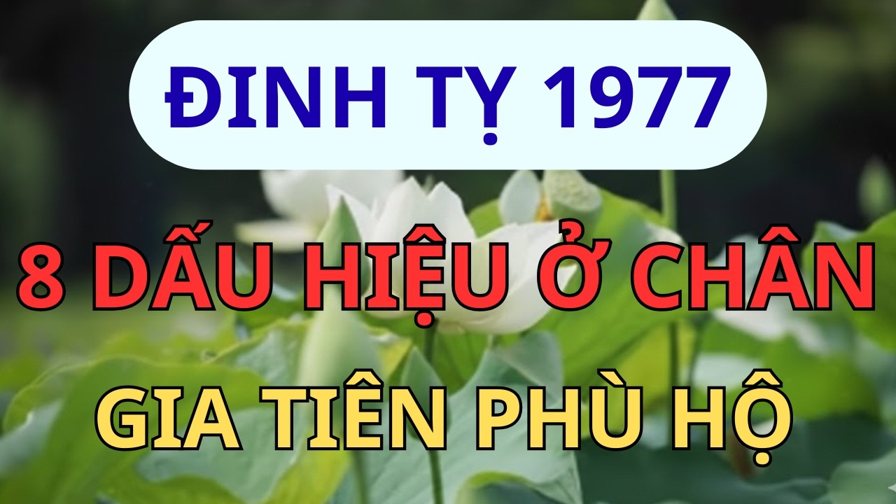 Đinh Tỵ 1977: Sở Hữu 8 Tướng Chân Này Là Phúc Báu 7 Đời, Gia Tiên Độ Trì, Tiền Tiêu Không Hết