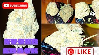 sugar shack strain review. #trending #reccomended #feed #entertainment #educational #review #update