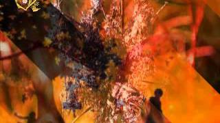 9Al Jani Ba3Da Yawmayn