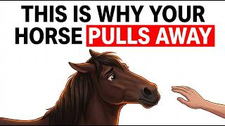 8 Ways You're Slowly Damaging Your Bond With Your Horse Without Knowing It