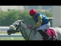 RM 38  Al Rayyan Race 1 - H.E. Sheikh Joaan Bin Hamad Al Thani Rifle
