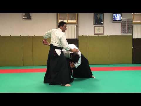 Uchi Kaiten Nage Aihanmi Katate Dori 
