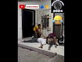 Бързо да Бягаме Let S Run Fast Shorts Comedy Funny Бързо да Бягаме Let S Run Fast Shorts Comedy Funny