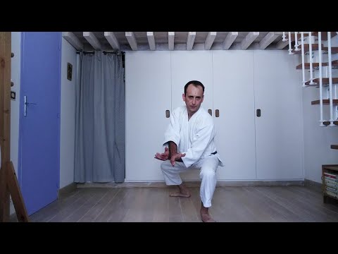 Aïkido confiné 7 (la dernière!) / Aïkido at home 7 (last one!)