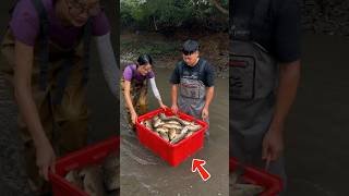 They Drained a Hidden Mountain Pond and Found a Giant Turtle Worth Thousands