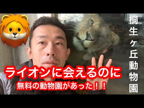 入園無料！！桐生ヶ丘動物園🦁ライオンに会える無料の動物園があった！！「こどもの日に」