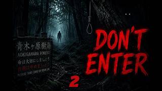 Aokigahara Forest   The Terrifying History of the Forest