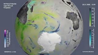 Net primary production and precipitation simulated with ICON at 2.5 km resolution
