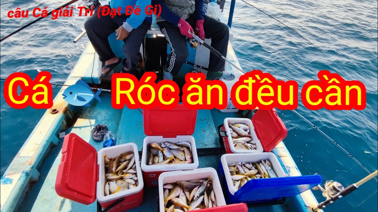 11 #...Cá 🐟 Róc Ăn Đều Cần.. mấy cần thủ chê ko thèm câu Cá Nục ...