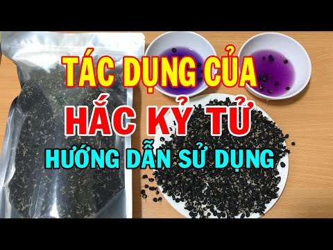 Video Hắc Kỷ Tử có tác dụng gì - Công dụng của Hăc Kỷ Tử -... - youtube