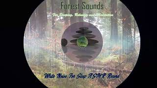 Waterfall &amp; Jungle Relaxing Sound, Peaceful Forest River, Sleep Sound, Waterfall &amp; Jungle Sounds