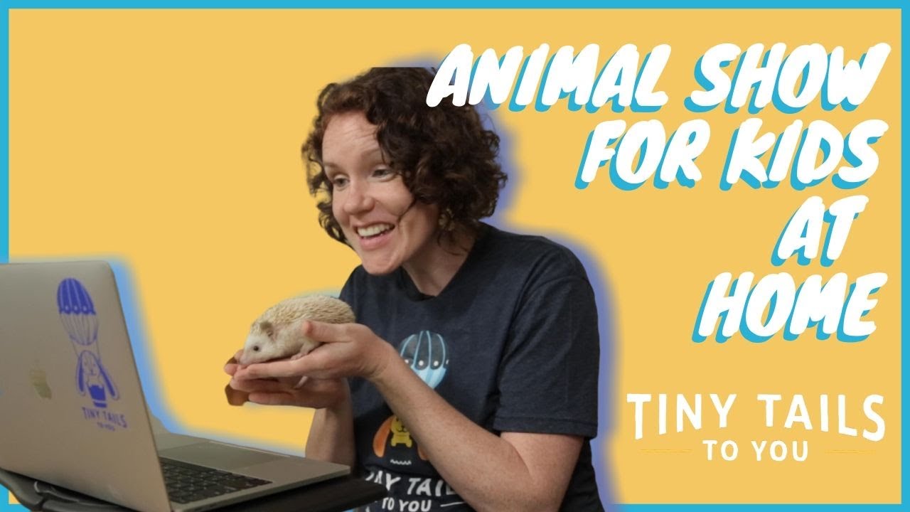 Learn about adorable animals | 45 Minute Virtual Animal Show with Tiny Tails to You
