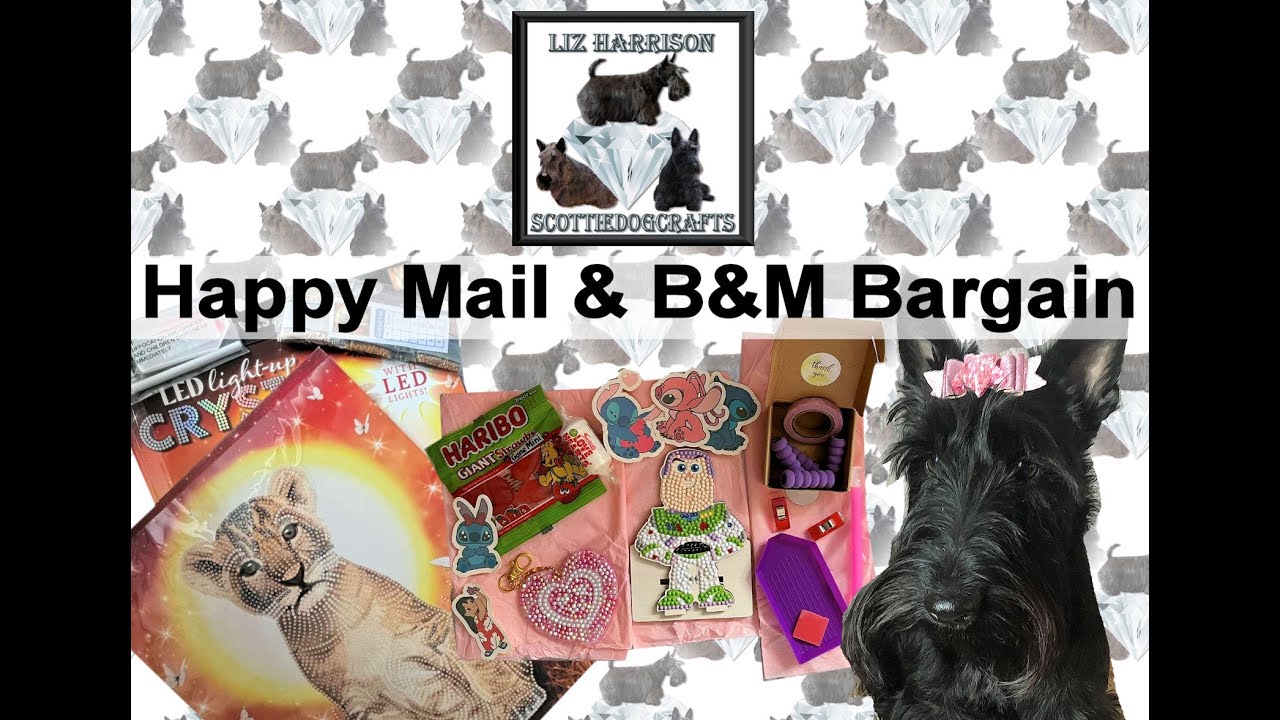 Diamond Painting | Happy Mail | Subscriber Mail |B&M UNBOXING | light ...