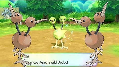 Shiny Doduo! Pokemon Let